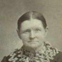 Mary Ann Stephens (1830 - 1896) Profile